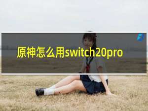原神怎么用switch pro