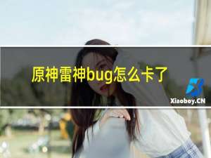 原神雷神bug怎么卡了