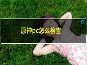 原神pc怎么检查