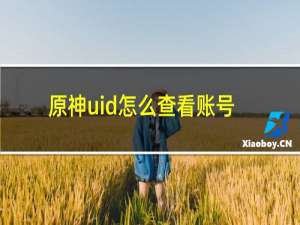 原神uid怎么查看账号