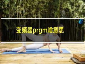 变频器prgm啥意思