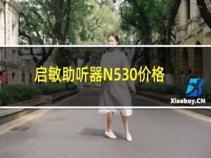 启敏助听器N530价格