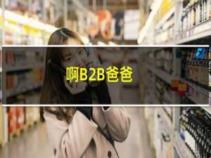 啊B2B爸爸