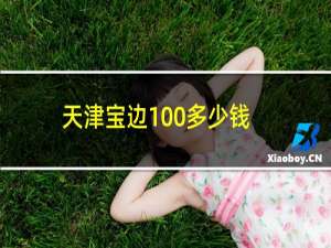 天津宝边100多少钱