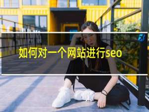 如何对一个网站进行seo