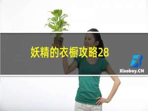 妖精的衣橱攻略28