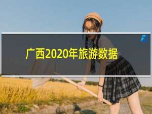 广西2020年旅游数据