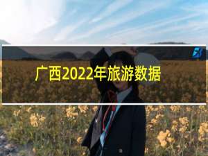 广西2022年旅游数据