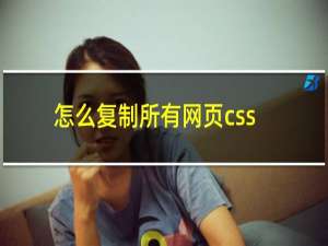 怎么复制所有网页css