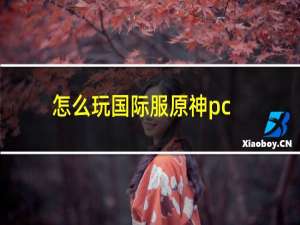 怎么玩国际服原神pc