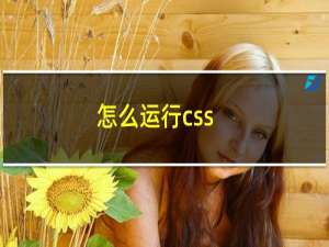 怎么运行css