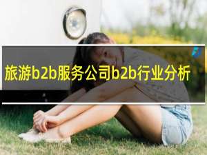 旅游b2b服务公司b2b行业分析