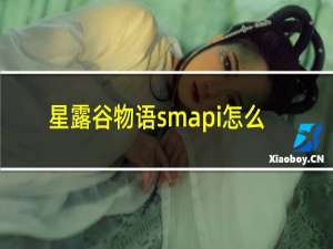 星露谷物语smapi怎么