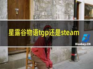 星露谷物语tgp还是steam