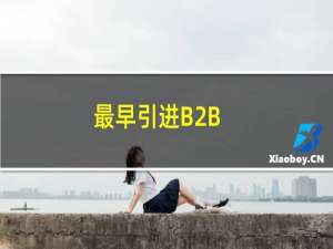 最早引进B2B