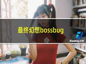 最终幻想bossbug