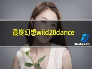 最终幻想wild dance