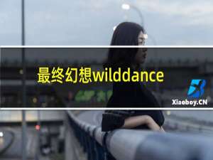 最终幻想wilddance