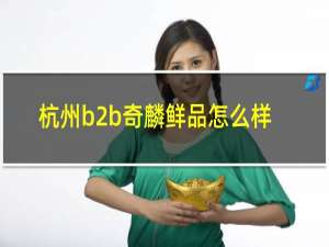 杭州b2b奇麟鲜品怎么样