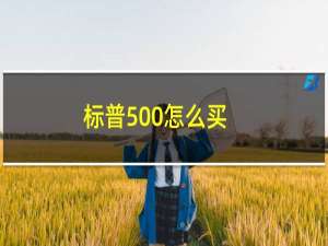 标普500怎么买