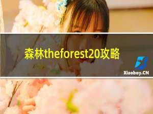 森林theforest 攻略