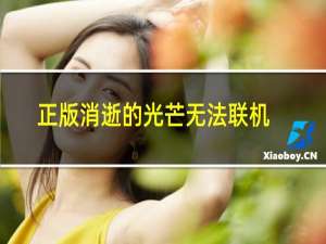 正版消逝的光芒无法联机