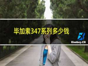 毕加索347系列多少钱