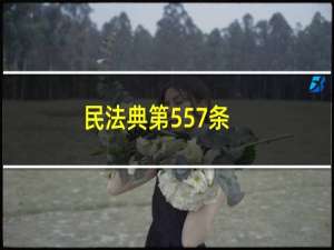 民法典第557条