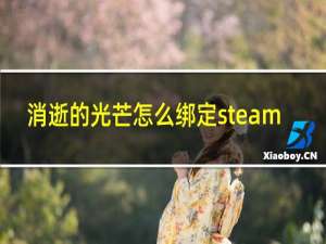 消逝的光芒怎么绑定steam