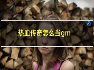 热血传奇怎么当gm