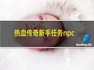 热血传奇新手任务npc