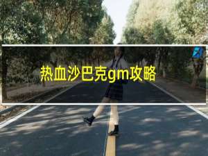 热血沙巴克gm攻略