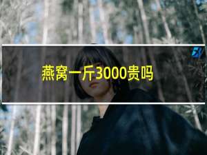 燕窝一斤3000贵吗