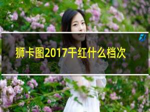 狮卡图2017干红什么档次