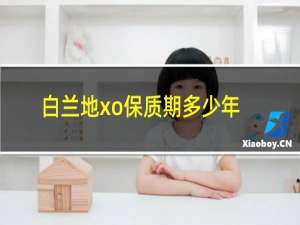 白兰地xo保质期多少年