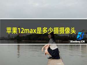 苹果12max是多少摄摄像头
