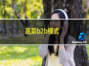 蔬菜b2b模式