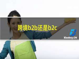 跨境b2b还是b2c