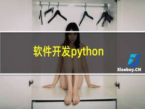 软件开发python