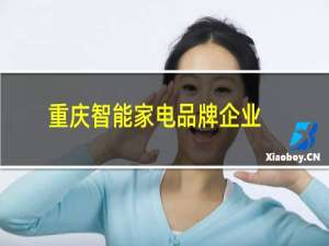 重庆智能家电品牌企业