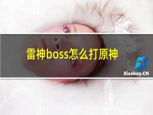 雷神boss怎么打原神