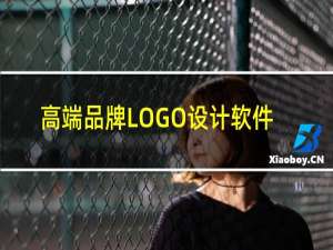 高端品牌LOGO设计软件