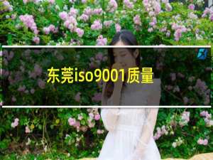 东莞iso9001质量认证