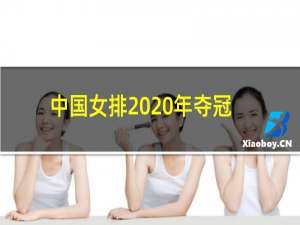 中国女排2020年夺冠了吗