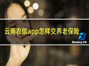 云南农信app怎样交养老保险