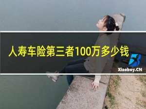 人寿车险第三者100万多少钱