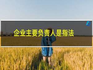 企业主要负责人是指法人么（企业主要负责人是指哪些人）