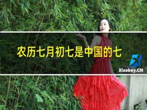 农历七月初七是中国的七夕节,是中国 新视野英语翻译