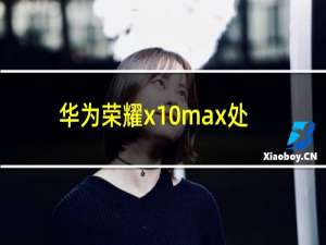 华为荣耀x10max处理器