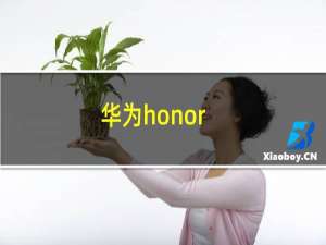 华为honor/荣耀8x